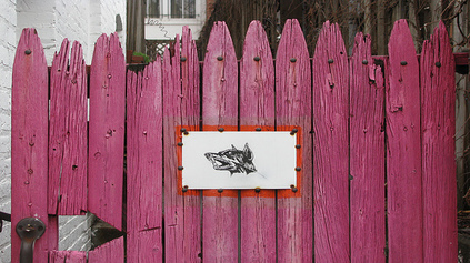 beware of dog