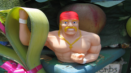 hulk hogan hulk hogan