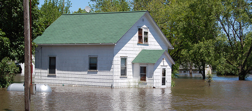 flood flood