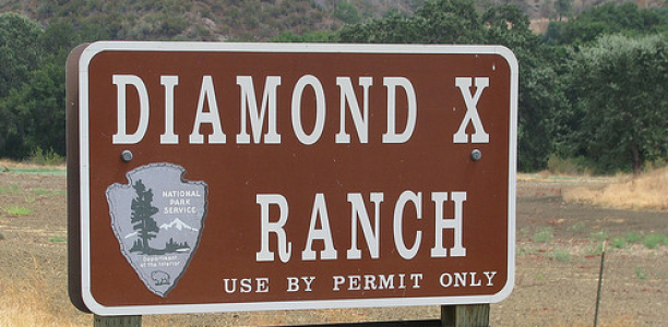 #sliderCaption4234 GEICO and Helzberg Diamonds: A Match Made In…