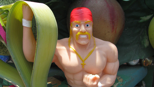 hulk hogan